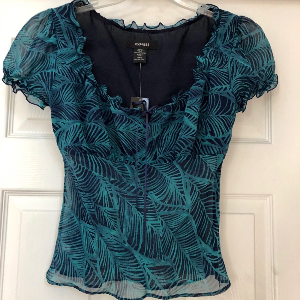 Express Silk Sheer Maxi Skirt & Blouse Dress Set - Picture 3 of 8